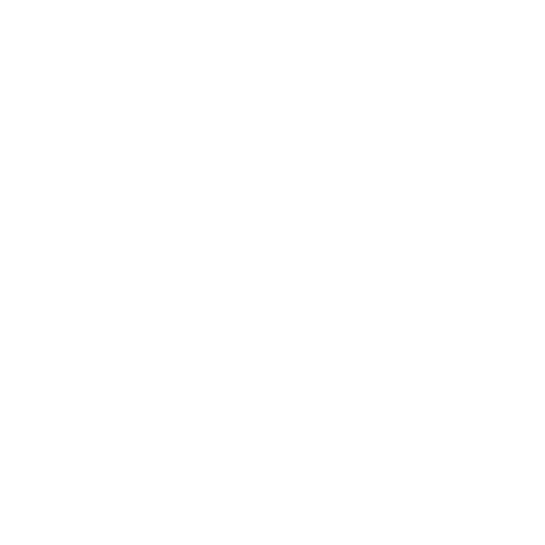 Kamera Icon